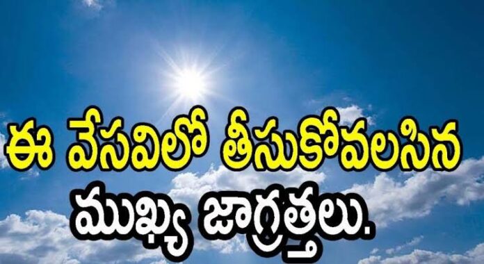 వేసవి కాలం జాగ్రత్తలు summer