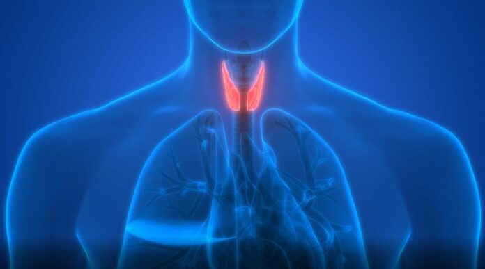 Thyroid Disease